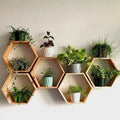 Honey Comb Wood Wall Decor